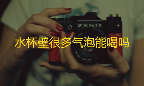 暗区突围pc农场地图水杯壁很多气泡能喝吗